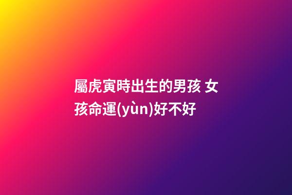 屬虎寅時出生的男孩 女孩命運(yùn)好不好